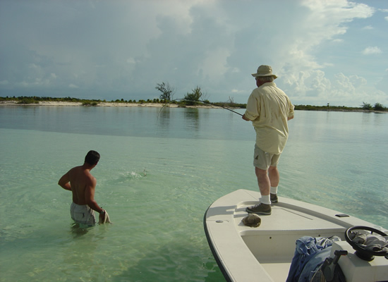 Cuba tarpon